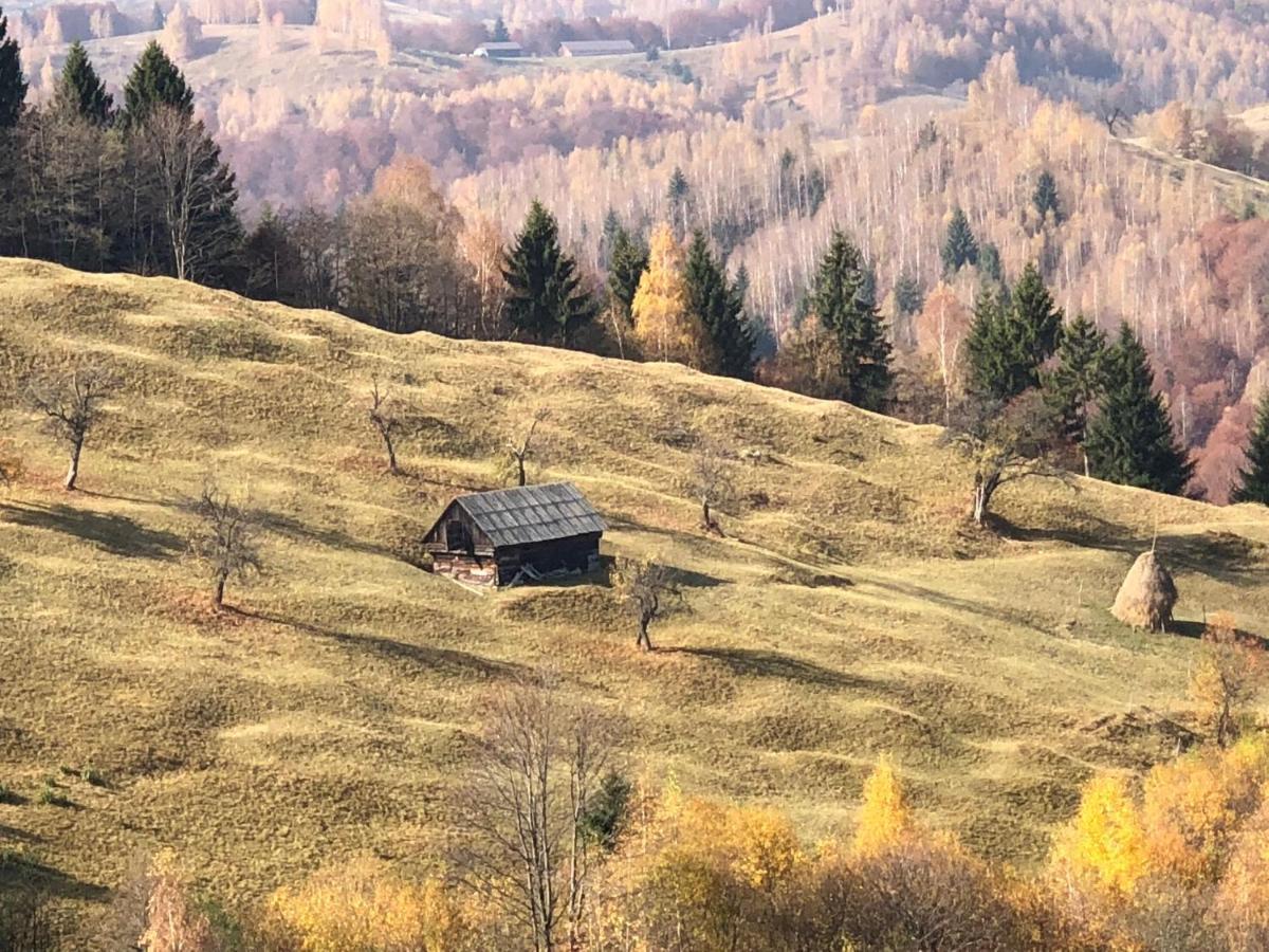 La Maison Des Reves - Bran Bran  Buitenkant foto