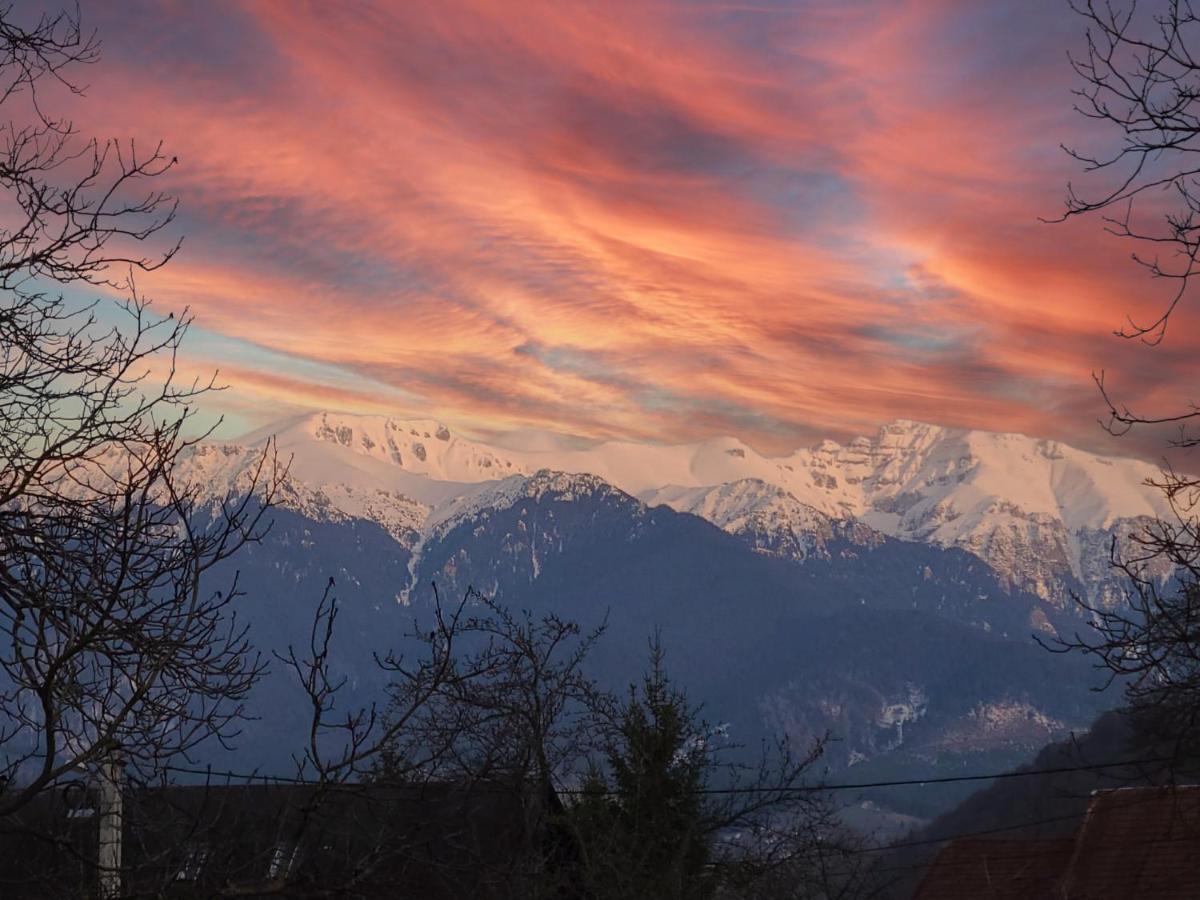 La Maison Des Reves - Bran Bran  Buitenkant foto