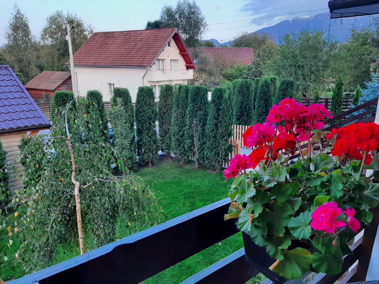 La Maison Des Reves - Bran Bran  Buitenkant foto