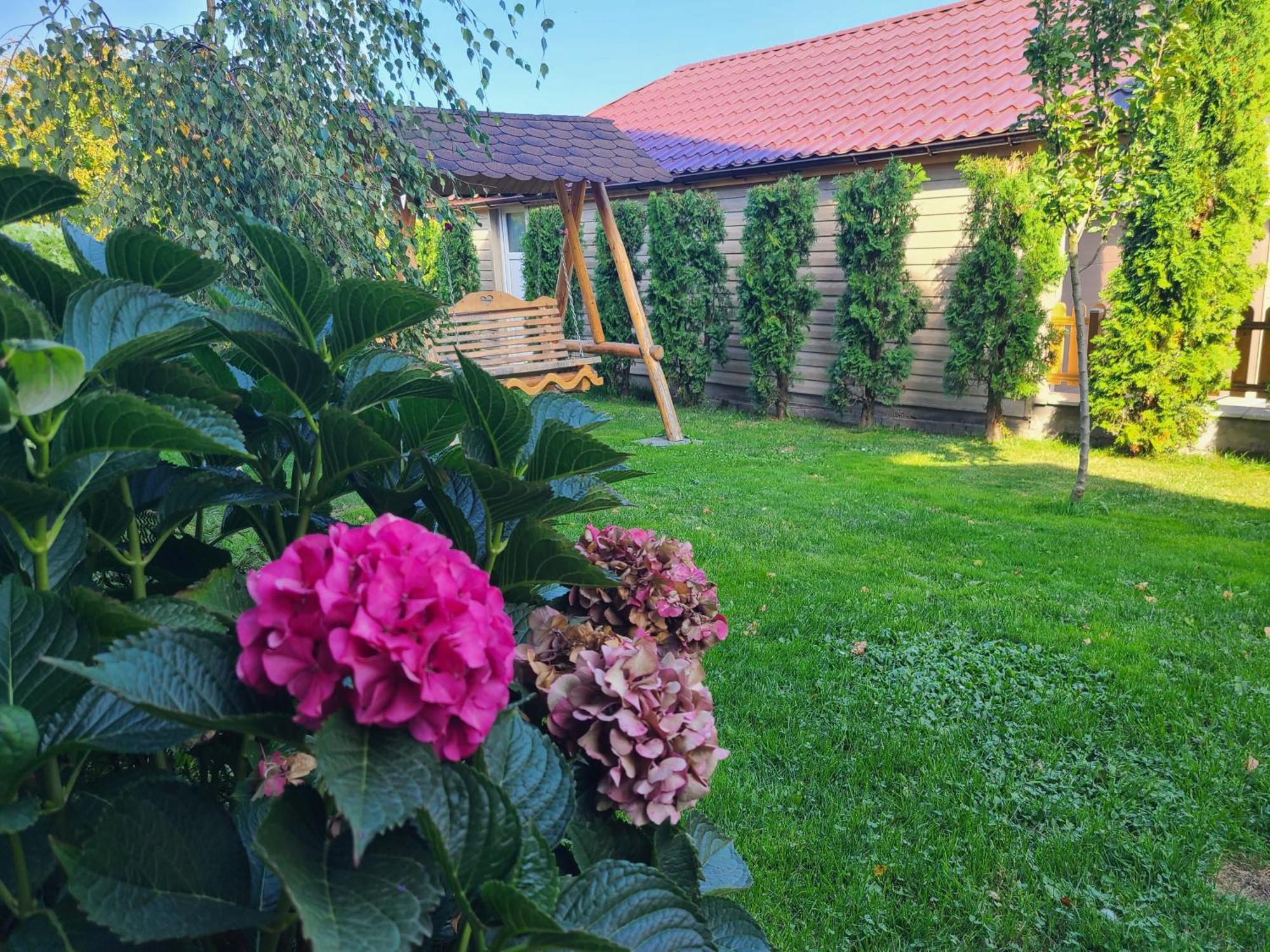 La Maison Des Reves - Bran Bran  Buitenkant foto